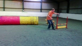 Agility photo