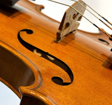 violino de luthier, matheus