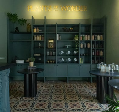 Plants of Wonder - Tienda vegana a domicilio en Merida Yucatan