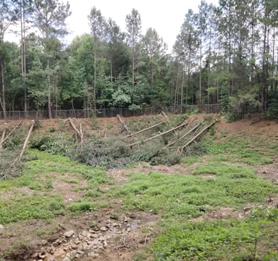retention pond clearing by north gerogia clearing and excavation llc