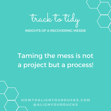 Taming the mess is not a project but a process!
