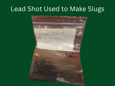 slot cheating slugs