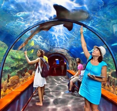 experiencia accesible en parque de atracciones