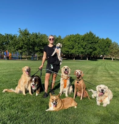 pack walk, dog walk, dog walkers, dog walking, dog walkers of las vegas