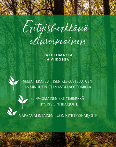 terapeuttinen keskustelutuki, erityisherkkyys, hyvinvointiharjoite, luontoyhteysharjoite