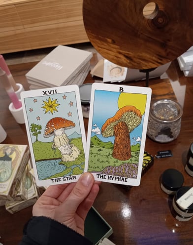 Psychic Tarot Reading with Mushroom Tarot cards in Calgary and Canmore