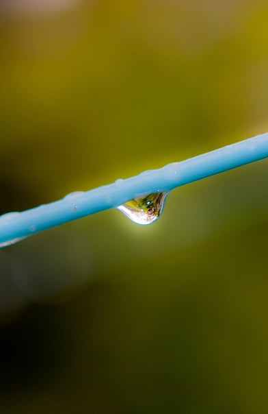 The last rain drop