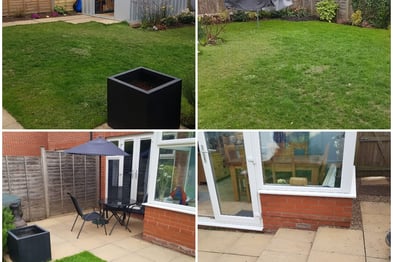 garden before transformation