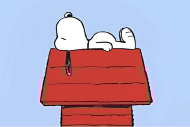 Snoopy island