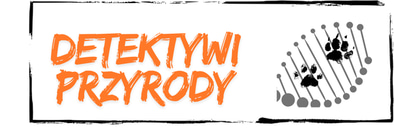 Detektywi Przyrody logo
