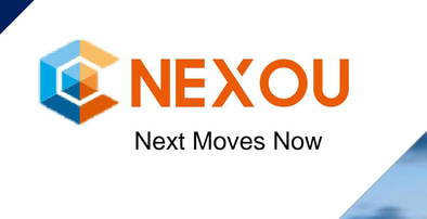 Nexou Group logo