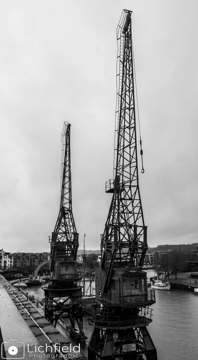 Bristol Cranes