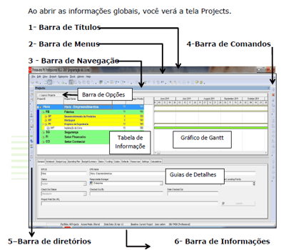 Como é o Duiretório Projects do Primavera P6