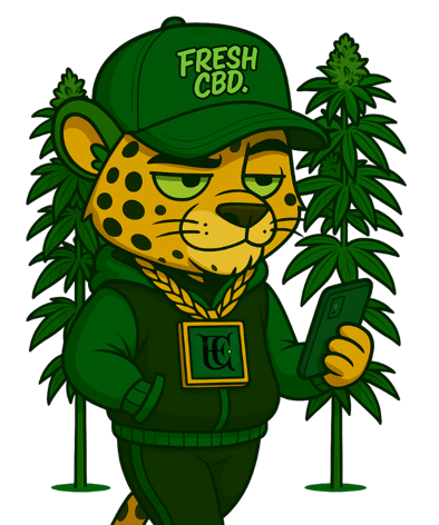 Leopardo Fresh CBD rodeado de plantas de CBD con gorra y sudadera verde