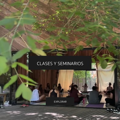 madretierra clases classes seminarios seminars retreat canning buenos aires argentina wellness yoga art design nature 