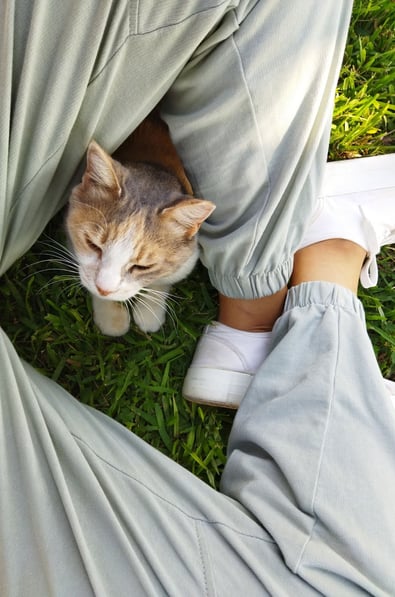 NAMOOSHKA and her cat, Monkey