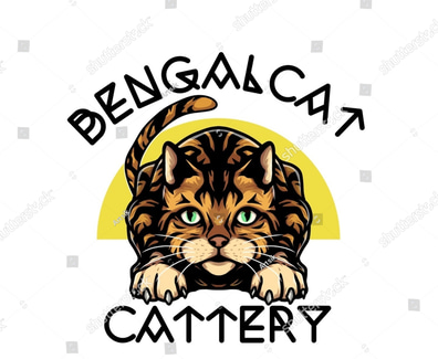 Destiny Main Coon Cattery logo