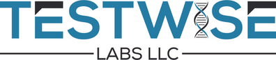 TestWise Labs LLC logo