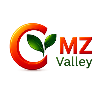 MZ Valley LTD logo