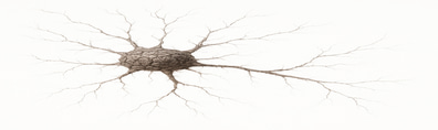 thelasthumanbraincell logo