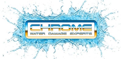 Chrome Logo