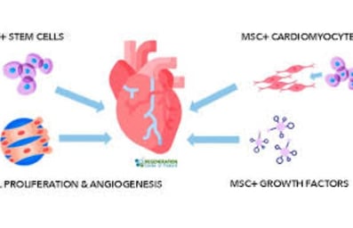 ttt of heart disease