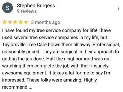 Google Review Tree Service Statesville NC