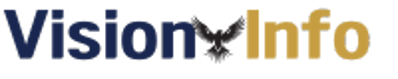 Vision Infotech logo