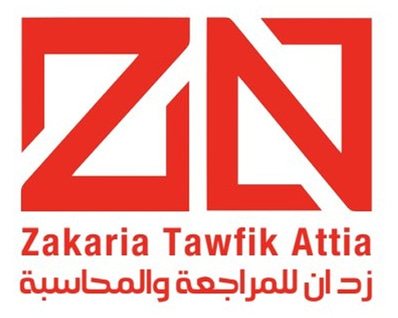 ZN for Accounting and auditing logo