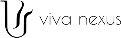 "Viva nexus" veiklos ir verslo analitika logo