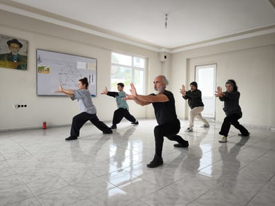 an indoor Tai Ji practice with İzmir team, focused in stance Xuanwubasic 2