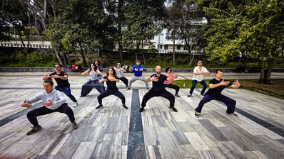 Group Tai Ji practice session at İnönü Park for World Tai Ji Day 2025, students in horse stances.