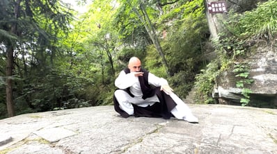 Ismet Himmet performing a low Tai Ji stance on stone ground in a lush forest setting at Wudangshan.