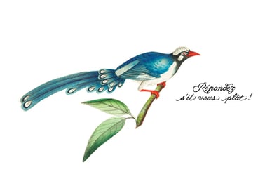 Répondez s'il vous plaît!