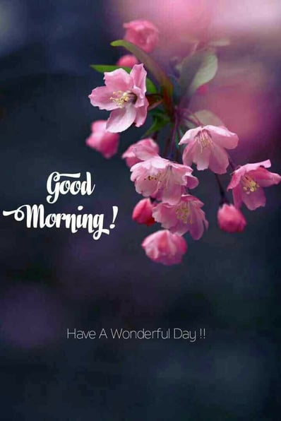 Good Morning greeting image with nature and floral design