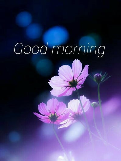 Good Morning greeting image with nature and floral design