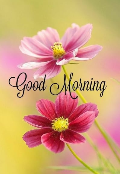 Good Morning greeting image with nature and floral design