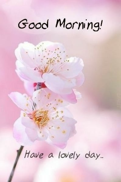 Good Morning greeting image with nature and floral design
