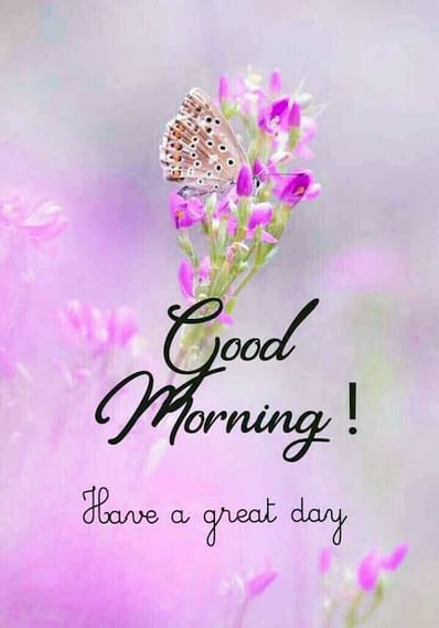 Good Morning greeting image with nature and floral design
