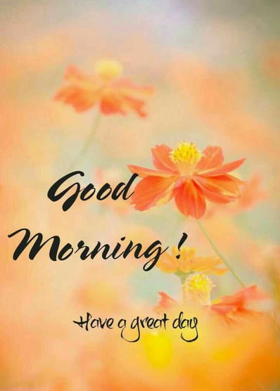 Good Morning greeting image with calligraphy and floral design