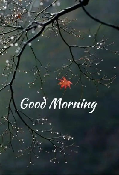 Good Morning greeting image with rainy day / nature and floral design