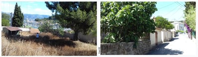 Paysage varois avec pinède – Environnement projet immobilier PACA