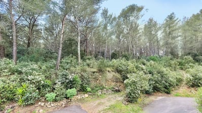Référencement immobilier images drone de la maison et de son environnement naturel