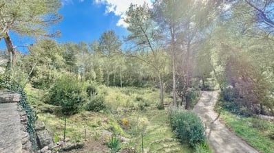 Découvrez la propriété par drone aperçu du terrain et des terrasses Service photographe immobilier
