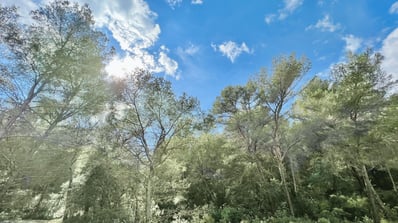 Allée de jardin arborée mise en scène par photographe immobilier