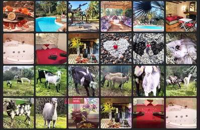 Instants vie haras événements Photographe immobilier Var