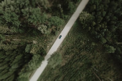 Vestuvių fotografas- reportažinė vestuvių fotosesija