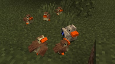 Ducklings in Minecraft