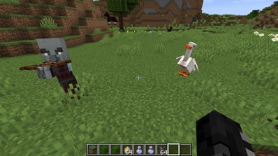 Geese scares away an Illager
