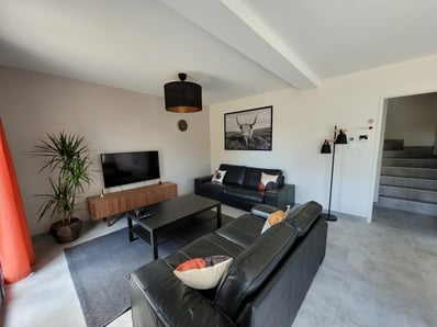 salon avec canapé noir en cuir 
